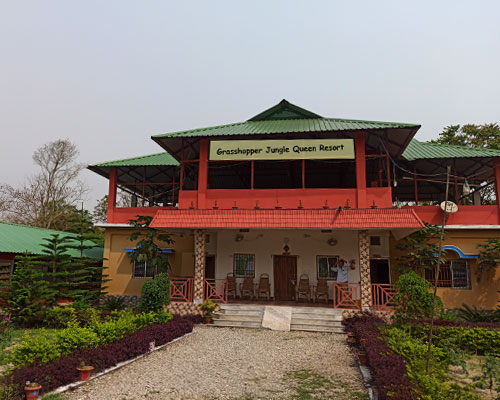 Grassopper Jungle Queen Resort