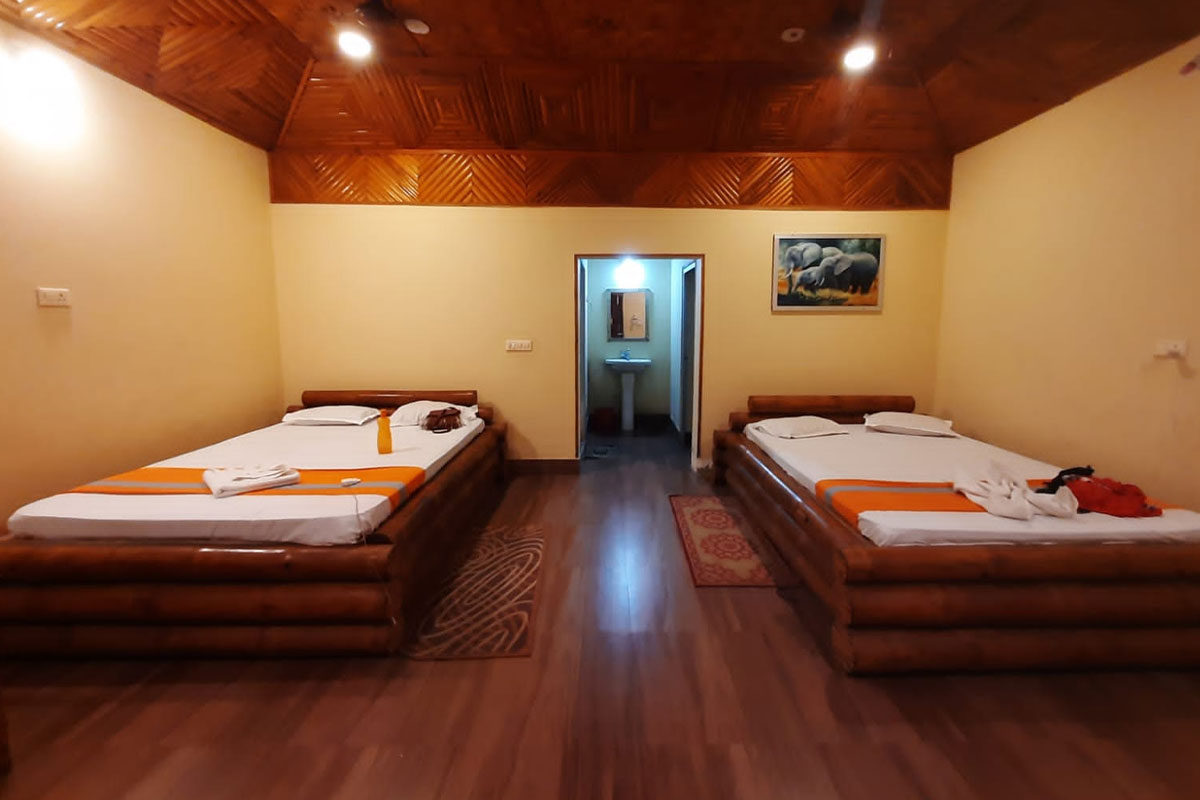 Grassopper Jungle Queen Resort