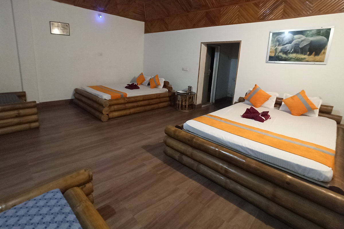 Grassopper Jungle Queen Resort