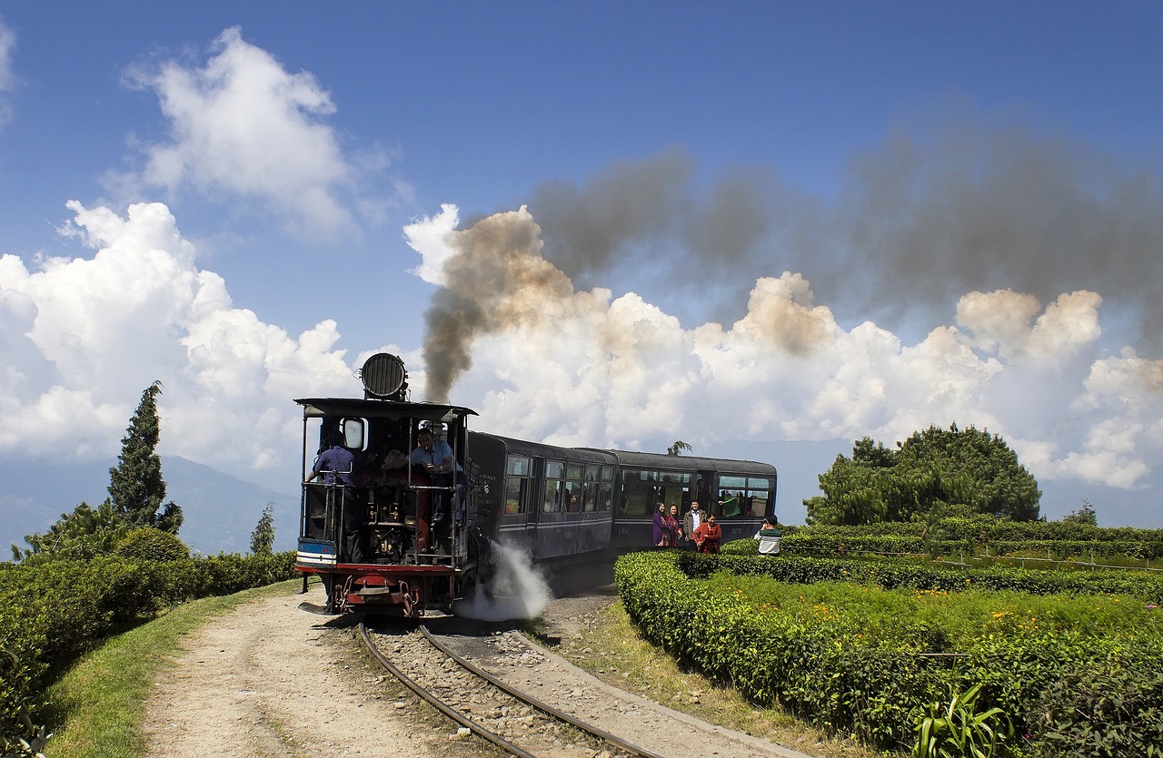 Dooars With Darjeeling Package Tour