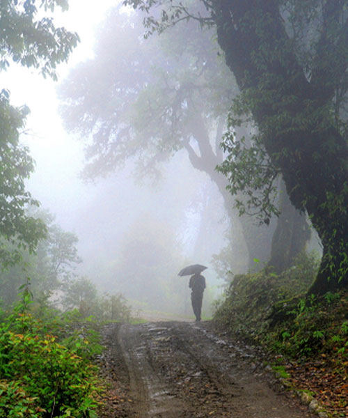 Neora Valley National Park